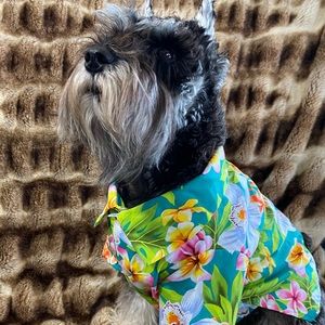 Dog Threads | Tropical BBQ T-shirt • Size:M
